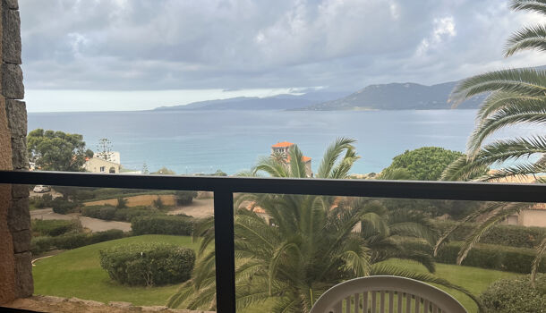 Autres  à vendre Ajaccio 20000