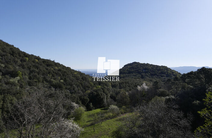 Mas — photo 2