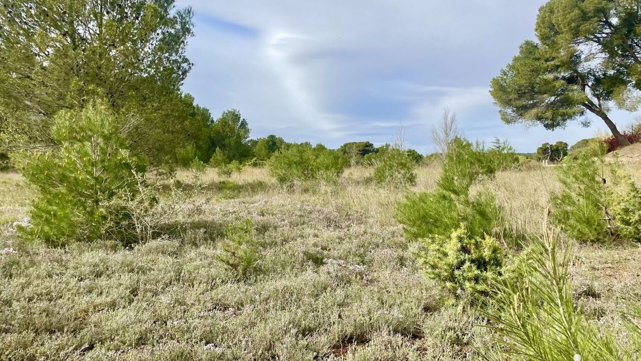 terrain  pièces 395 m2 à vendre à Lézignan-Corbières (11200)