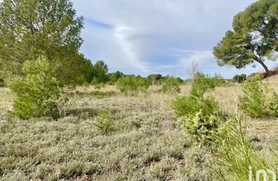 vente terrain 71 000 € à proximité de Castelnau-d'Aude (11700)