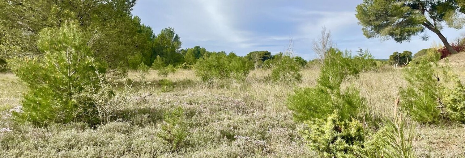 Terrain  395 m² à vendre à Lézignan-Corbières (11200)