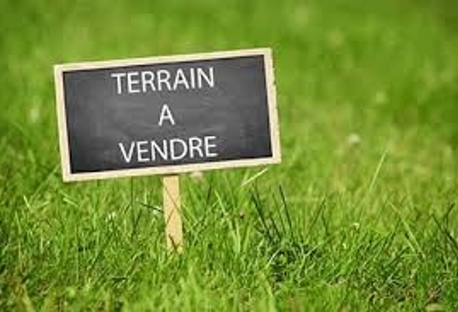terrain  a batir biscarrosse bourg — photo 1