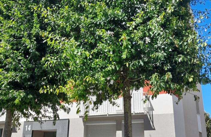 Pour investisseur — photo 5