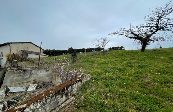 Maison — photo 3