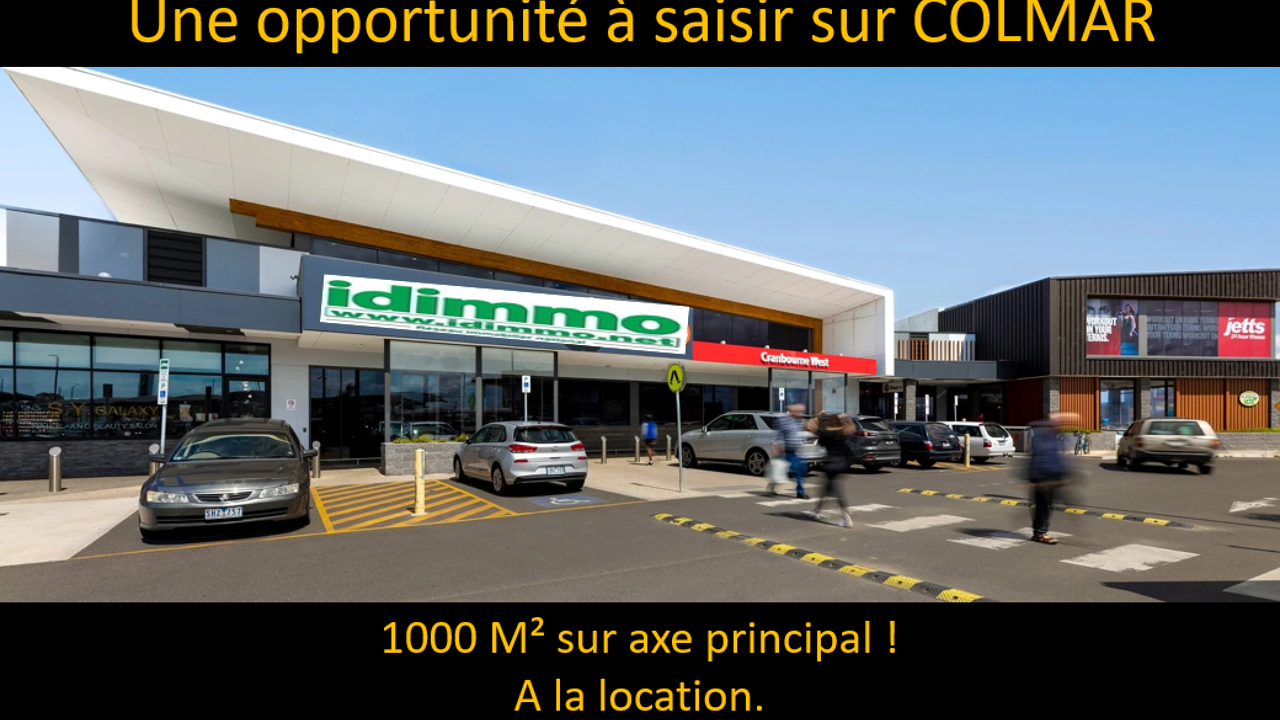 divers  pièces 1000 m2 à vendre à Colmar (68000)