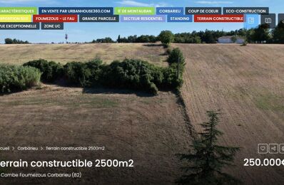 vente terrain 250 000 € à proximité de Villemur-sur-Tarn (31340)