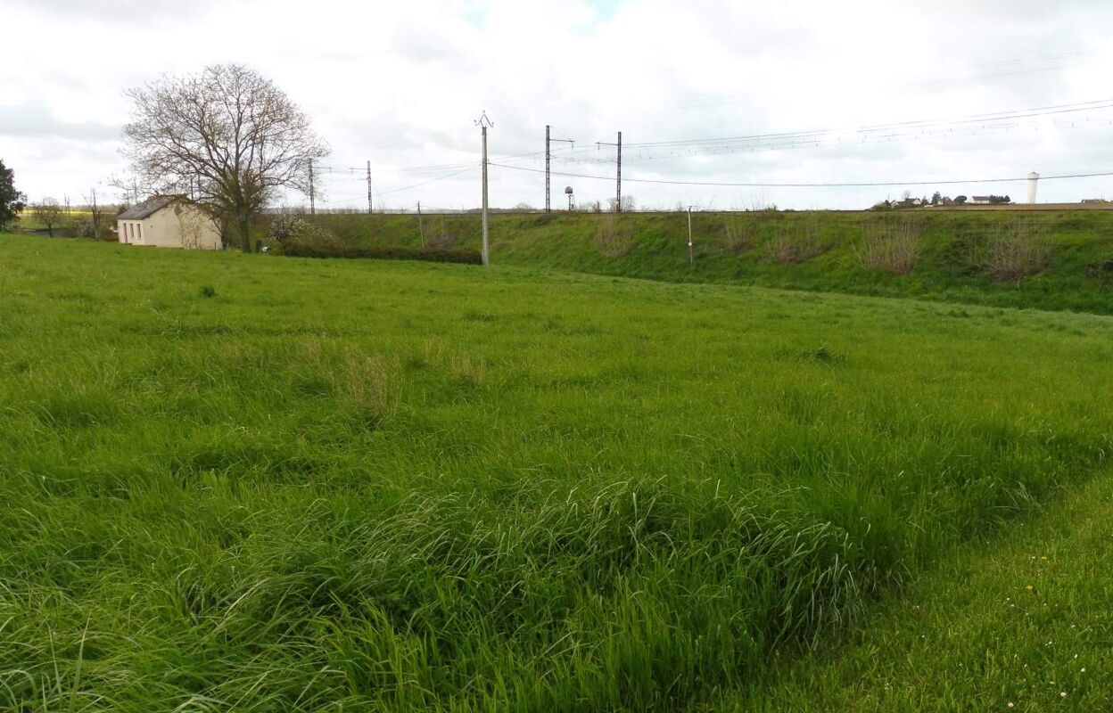 terrain  pièces 824 m2 à vendre à Noyant-de-Touraine (37800)