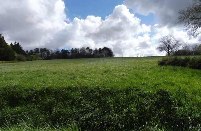 Vente terrain  824 m² Noyant-de-Touraine (37800) — photo 2