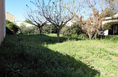 Frontignan 368m2 à bâtir — photo du bien