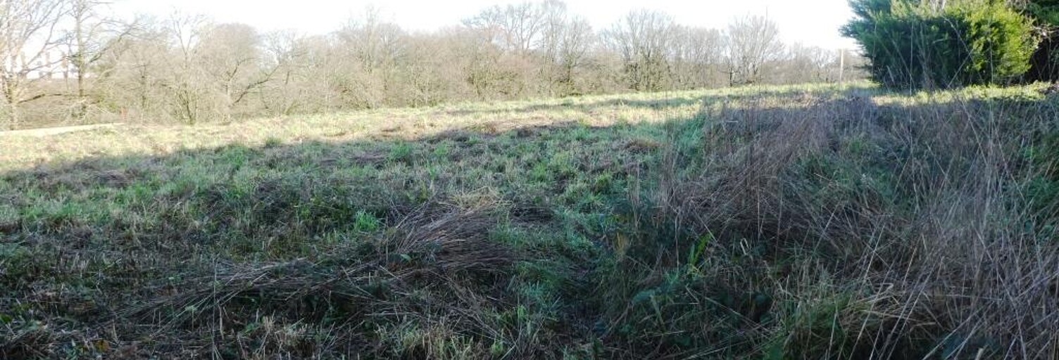 Terrain  799 m² à vendre à Locmalo (56160)