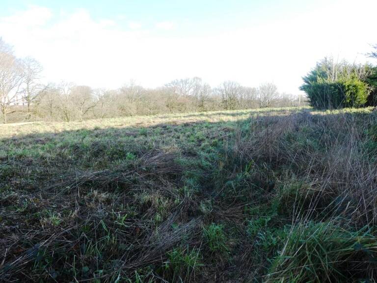 Terrain à bâtir — photo 1