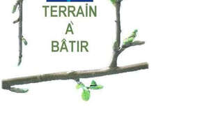 Terrain  387 m² à vendre à Chazelles-sur-Lyon (42140)