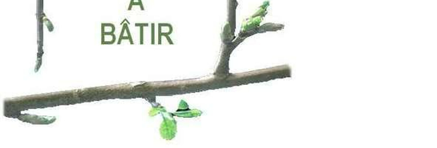 Terrain  387 m² à vendre à Chazelles-sur-Lyon (42140)