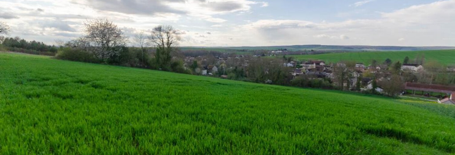 Terrain  16000 m² à vendre à Venizy (89210)