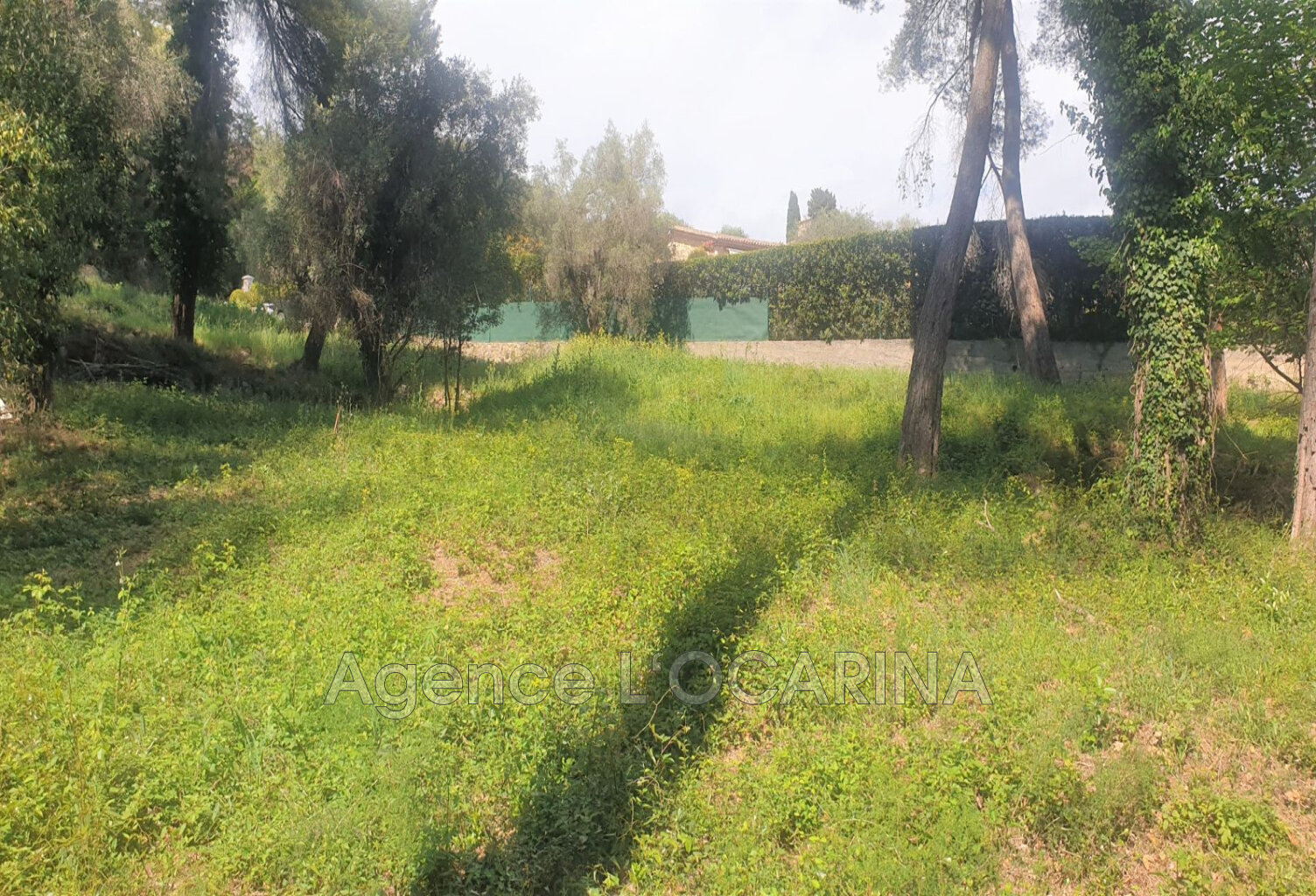 vente terrain — photo 1