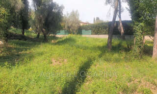 Terrain  5089 m² à vendre à Mougins (06250)