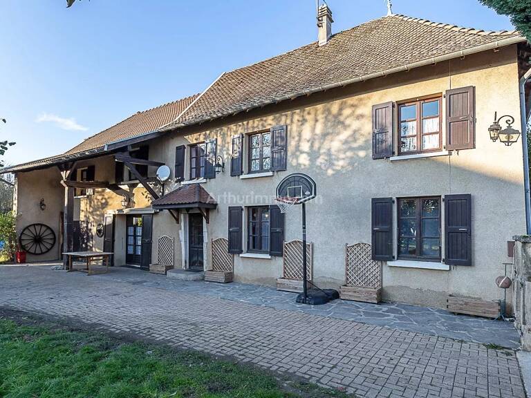 EXCLUSIVITÉ ST SORLIN DE MORESTEL — photo 1