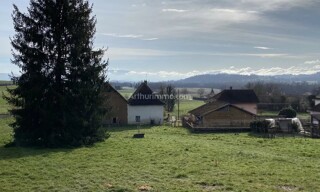 Photo N° 4