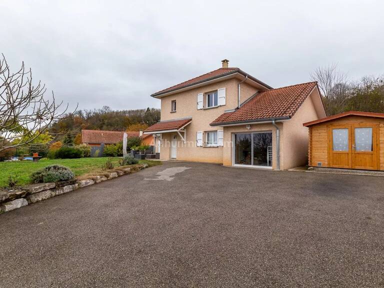 Maison - St Genix sur Guiers — photo 1