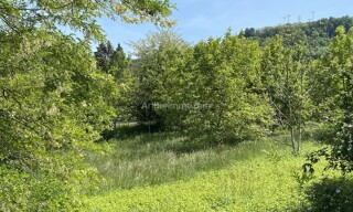 Photo N° 4