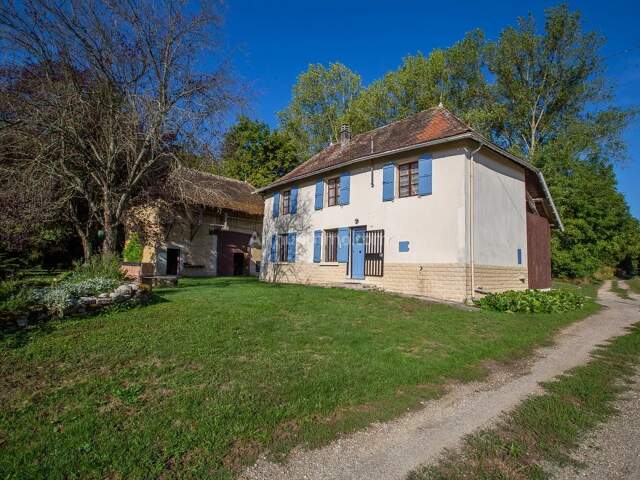 Maison + Dépendance + 6000m² de terrain — photo du bien