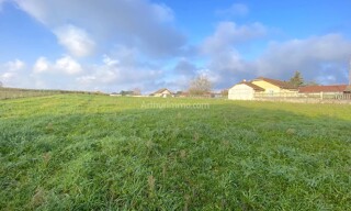 Photo N° 3