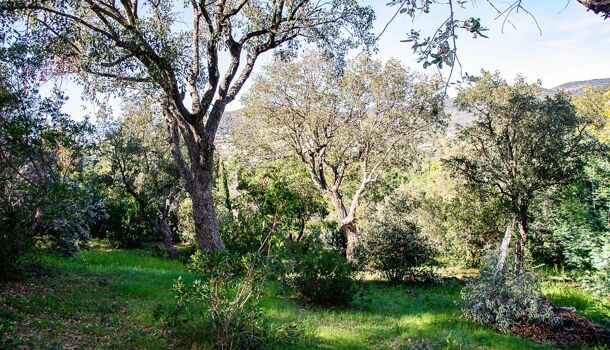 Villa / Maison 7 pièces  à vendre Londe-les-Maures (La) 83250