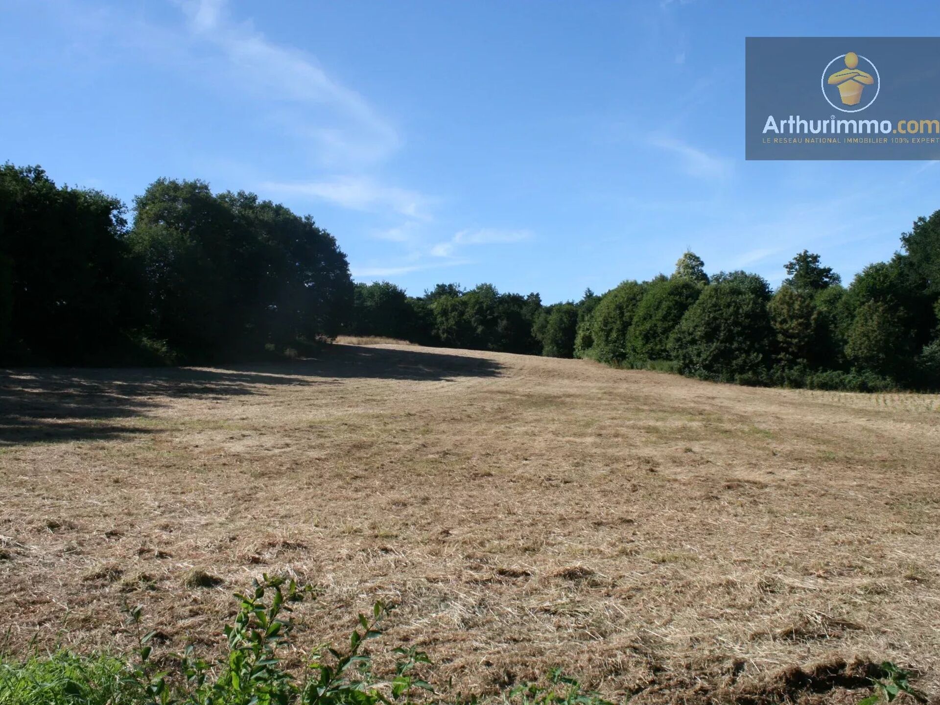 Vente Terrain 16300 m2 à Josselin · 17 400 €