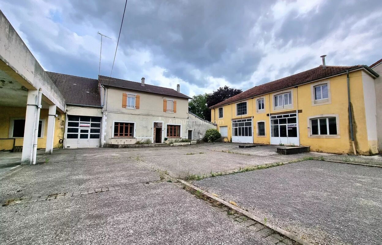 maison 6 pièces 160 m2 à vendre à Saint-Blin (52700)