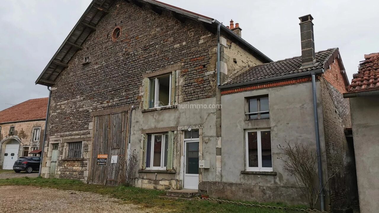 maison 7 pièces 147 m2 à vendre à Dammartin-sur-Meuse (52140)