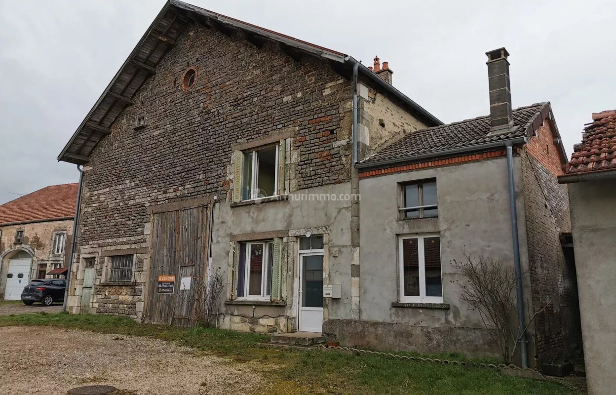 maison 7 pièces 147 m2 à vendre à Dammartin-sur-Meuse (52140)