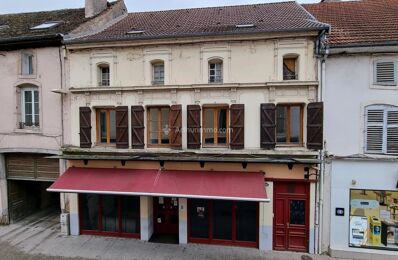 vente immeuble 197 400 € à proximité de Bourmont-Entre-Meuse-Et-Mouzon (52150)