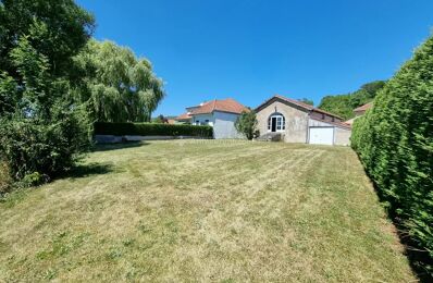 vente maison 140 000 € à proximité de Removille (88170)