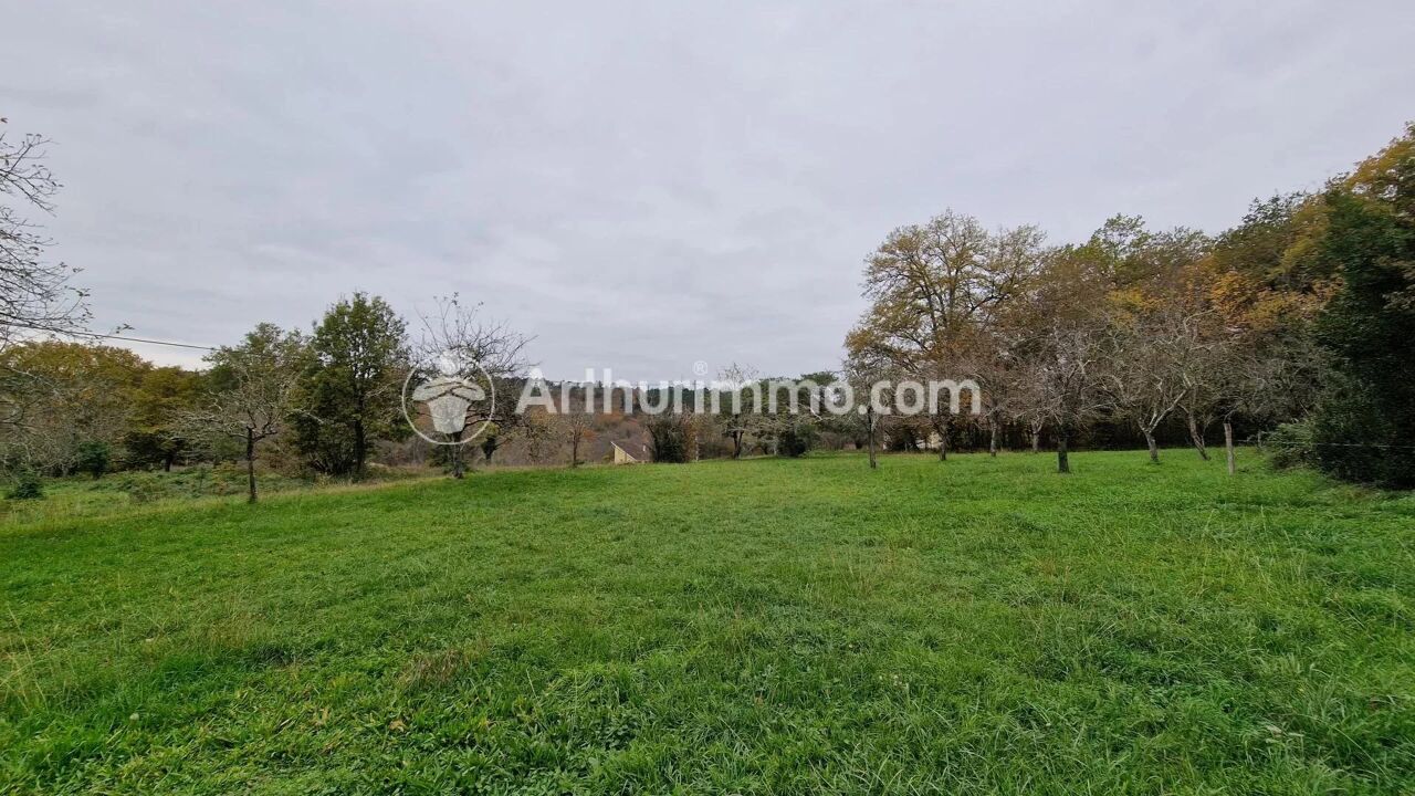 terrain  pièces 1590 m2 à vendre à Neuvic (24190)