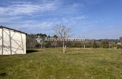 terrain  pièces 1250 m2 à vendre à Neuvic (24190)