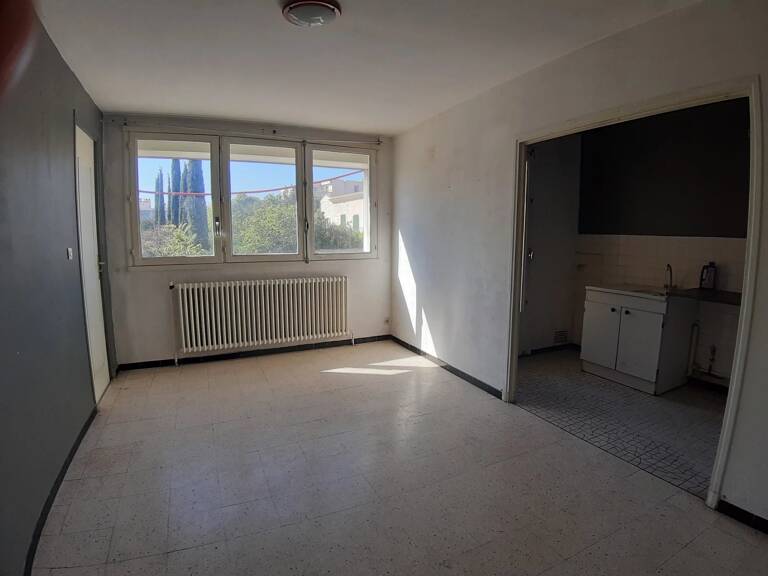 Appartement T2  AIGUELONGUE Proche FAC — photo 1