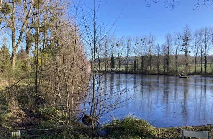 A VENDRE - PRE EN PAIL - ETANGS D'1Ha  SUR TERRAIN DE 2Ha - 21000 M² — photo 3