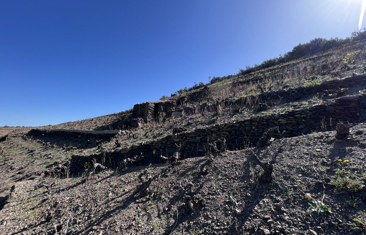 terrain  pièces  m2 à vendre à Banyuls-sur-Mer (66650)