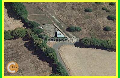 TERRAIN  ET HANGAR — photo du bien