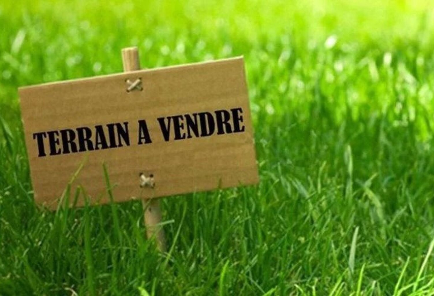 TERRAIN A BATIR — photo 1