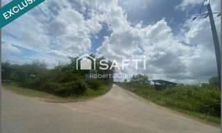 Terrain  11467 m² à vendre à Montsinéry-Tonnegrande (97356)