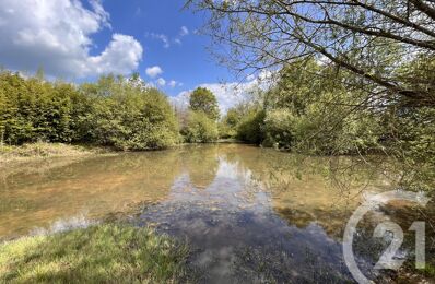 vente terrain 10 000 € à proximité de Chassignolles (36400)