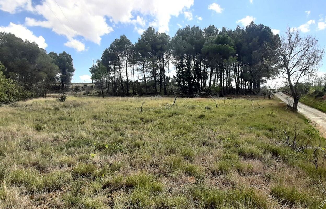 terrain  pièces 7020 m2 à vendre à Pouzols-Minervois (11120)