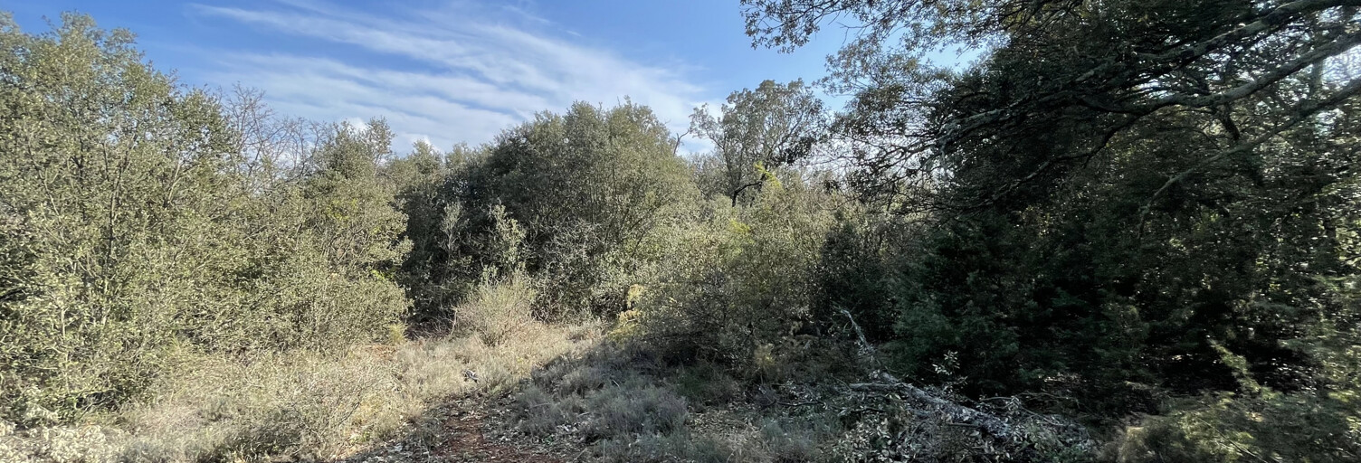 Terrain  2835 m² à vendre à Régusse (83630)