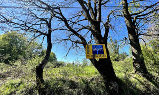 Terrain  1410 m² à vendre à Salmiech (12120)