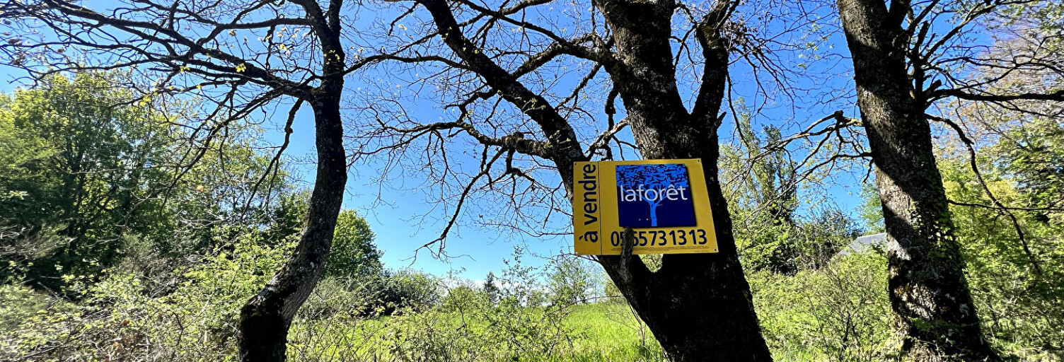 Terrain  1410 m² à vendre à Salmiech (12120)