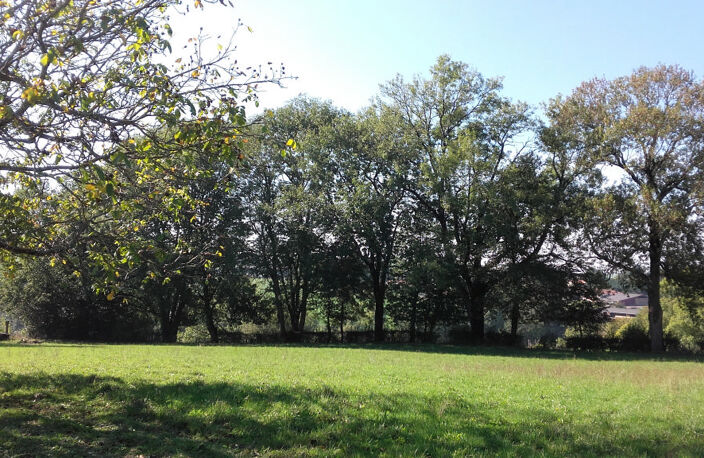 Propriété avec parc à vendre, Secteur Montemboeuf — photo 2