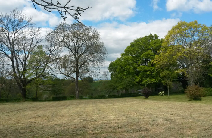 Propriété avec parc à vendre, Secteur Montemboeuf — photo 3