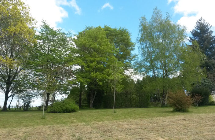 Propriété avec parc à vendre, Secteur Montemboeuf — photo 4