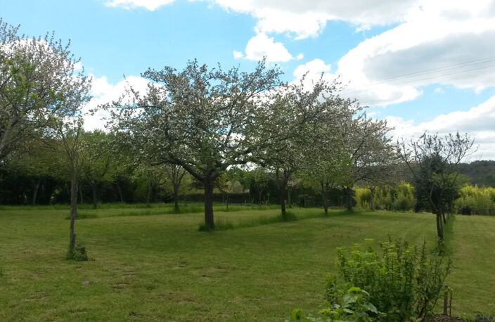 Propriété avec parc à vendre, Secteur Montemboeuf — photo 5